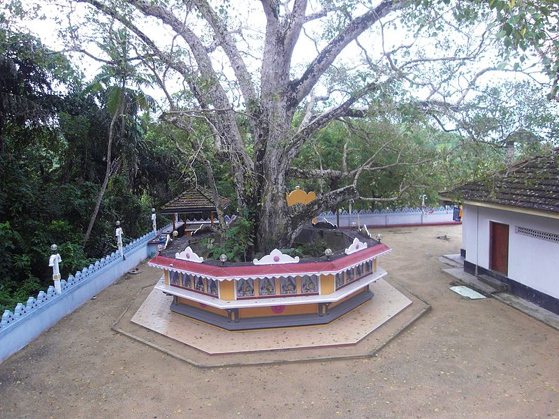 File:"BORALA TEAMPLE" - panoramio (1).jpg