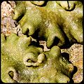 Endless Stations 74 - Kisses.jpg