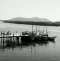 Ilha dos Valadares Paranaguá PR- BRASIL 09.png