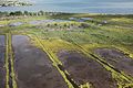 Marsh and impoundments at Seatuck National Wildlife Refuge (NY) (15035024645).jpg