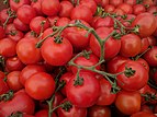 Cocktail tomatoes at Campbell farmer's market.jpg