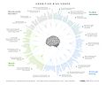Cognitive Bias Codex - 180+ biases, designed by John Manoogian III (jm3).jpg