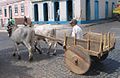 Carro de boi Caetité.jpg
