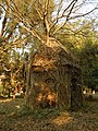 Co-work of Nature and Culture.jpg
