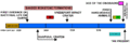 Earth's geolological timeline.gif