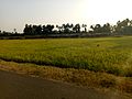 My beautiful vizag22.jpg