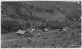 Medical Springs R. S., Minam Forest, 1917 - NARA - 299165.jpg