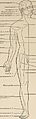 Nervous and mental diseases (1911) (14777711372).jpg