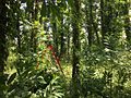 Abandoned playground – Parco urbano dei Camaldoli (Naples)-1.jpg