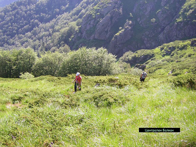 File:"Central Balkan" National Park - panoramio.jpg