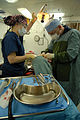 Sailors perform dental operation aboard USS Nimitz DVIDS92081.jpg