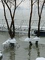 "Ballerinas" on the Danube - "Balerine" pe Dunare - panoramio.jpg