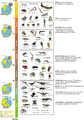 Biogeographic timetable of Madagascar - journal.pone.0062086.g003.png