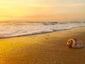 Sungazing at vypin beach.jpg