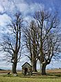 "Bodendorfer Kapelle" - panoramio.jpg