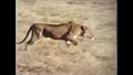 File:Reisevideo Botswana 1988 - im Original auf Super-8.webm