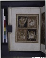 Evangelist symbols (NYPL b12455533).tif