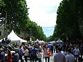Tbilisi, Georgia — Celebration and Exhibition on Independence day, May 26, 2014 (1).JPG