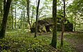 2009 09 22 Rolf Franke location Germany 51674 Wiehl Ruine Bieberstein (1).jpg