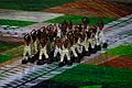 2016 Summer Olympics opening ceremony 1035282-olimpiadas abertura-1716.jpg