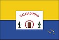 Bandeira de Salgadinho.jpg