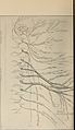 Nervous and mental diseases (1911) (14777863512).jpg