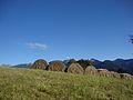 "bale de fen" - panoramio.jpg