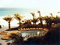 1982-Fuerteventura-1.JPG