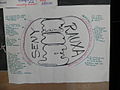 AND AND AND scheme Seny i Rauxa.JPG