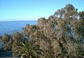 2006-03-07-Marbella-9.JPG