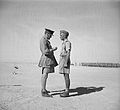 LC Kippenberger, 4 November 1941.jpg
