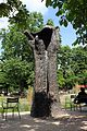 Abakanowicz - Manus ultimus.jpg
