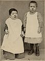 Nervous and mental diseases (1911) (14591949358).jpg