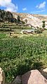 Isla del sol y plantaciones.jpg