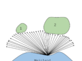 Insular Biogeography (Size).png