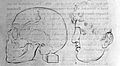 Physiognomical drawing, 1806 Wellcome L0022740.jpg