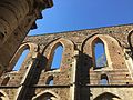 Abbazia di San Galgano-4.jpg