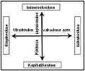 Kahedimensiooniline ühiskonnakäsitlus.jpg