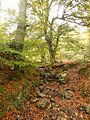 " Paisaje otoñal en Peloñu " - panoramio.jpg