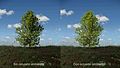 File:Efecto de la oclusión ambiental.ogv