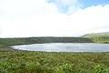 Lagoa Rasa, Flores - Azores.jpg
