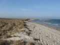 Monomoy National Wildlife Refuge shore (4622277760).jpg