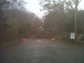 Downed tree at Rhode Island (8138324915).jpg