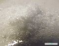 Thymol substance photo 2.jpg