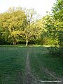 "Angličák" umělá mýtina v Roztockém háji,Roztoky u Prahy - panoramio.jpg