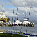 Abaconda Port of Tauranga.jpg