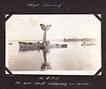 "High Diving" (3598809184).jpg