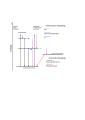 Jablonski-termschema vorschlag.svg