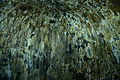 Algar do carvao dome detail.JPG