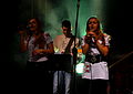 9 Silkawa, Sanok 2013.JPG